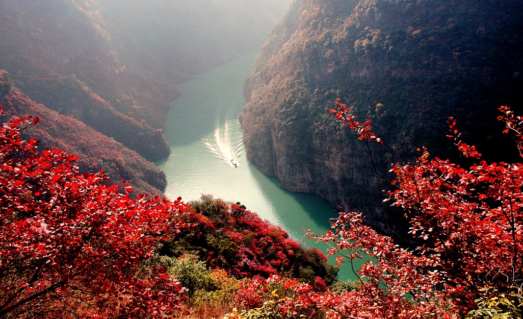 满目秋山叶染红--摄影:吴滨.(1) 满目秋山叶染红--摄影:吴滨.(1)